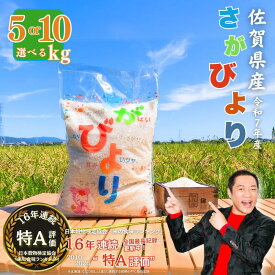 【ふるさと納税】令和7年産 佐賀県産 さがびより 白米 選べる 5kg～10kg おこめ 米 ：B170-023