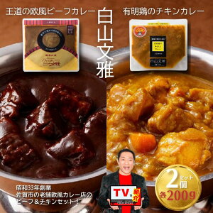 【ふるさと納税】白山文雅カレー2種セット(ビーフ・チキン):B110-026