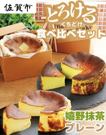 【ふるさと納税】人気のバスクチーズケーキ食べ比べセット：B140-004