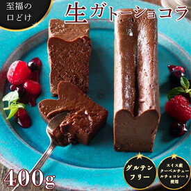 【ふるさと納税】至福の口どけ生ガトーショコラ：B100-002