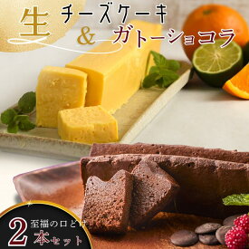【ふるさと納税】至福の口どけ生ガトーショコラ&おりしま生チーズケーキセット：B160-038