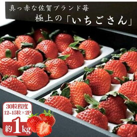 【ふるさと納税】極上のいちごさん ITOFARM 苺 佐賀県産 イチゴ フルーツ 果物 ：B240-016