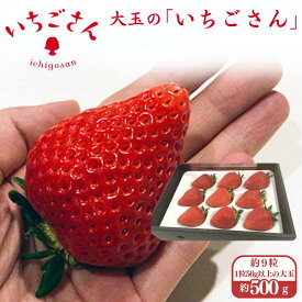【ふるさと納税】ITOFARM 大玉のいちごさん イチゴ いちご 苺 フルーツ 果物 佐賀県産 ：B630-002