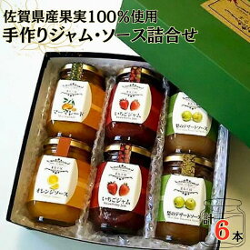 【ふるさと納税】佐賀県産果実100％使用手作り添加物不使用ジャム・ソース詰合せ：B140-094