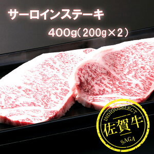 yӂ邳Ɣ[ŁzꋍT[CXe[L Iׂ 200g`400gFB210-017