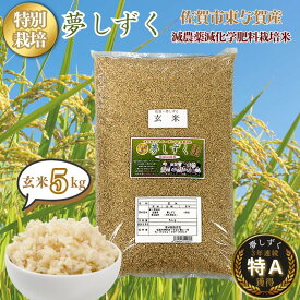 【ふるさと納税】令和7年産 特別栽培 夢しずく 玄米 5kg 佐賀市 東与賀町産：B175-019