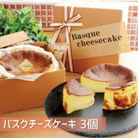 【ふるさと納税】バスクチーズケーキ 選べる4種：A080-001