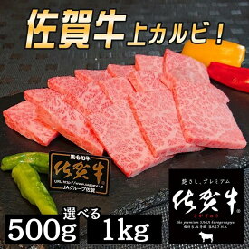 【ふるさと納税】佐賀牛 上カルビセット 選べる 500g or 1kg：B295-003