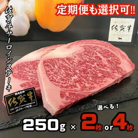 【ふるさと納税】佐賀牛A5サーロインステーキ 選べる 2枚 or 4枚【定期便も選択可】：B295-001
