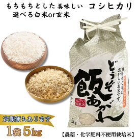 【ふるさと納税】もちもちとした美味しい コシヒカリ 5kg【選べる 玄米・白米／回数1～10回】【農薬・化学肥料不使用栽培米】：B230-021