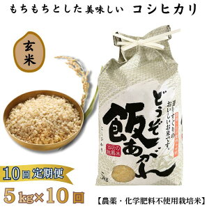 yӂ邳Ɣ[ŁzƂ RVqJ 5kgyIׂ āEā^1`10zy_Ew엿sgp͔|āzFB230-021