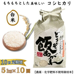 yӂ邳Ɣ[ŁzƂ RVqJ 5kgyIׂ āEā^1`10zy_Ew엿sgp͔|āzFB230-021