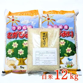 【ふるさと納税】令和5年佐賀県産さがびより白米12kg：B160-007