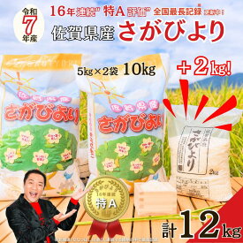 【ふるさと納税】令和7年 佐賀県産 さがびより白米12kg：B300-044