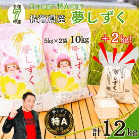 【ふるさと納税】令和7年 佐賀県産夢しずく 白米12kg：B300-045