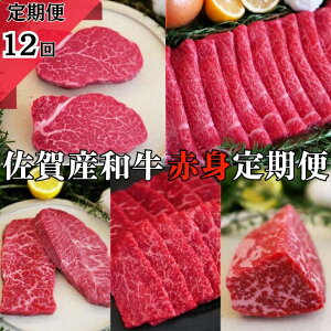 yӂ邳Ɣ[ŁzyqցzYa̐Ԑg̒ S12FC223-005