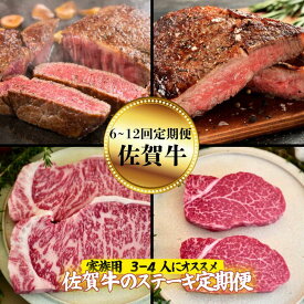 【ふるさと納税】【定期便 全6回～12回】【家族用】佐賀牛のステーキ定期便 サーロインステーキ 赤身ステーキ サイコロステーキ 希少部位ステーキ ヒレステーキ ハンバーグステーキ：C137-007