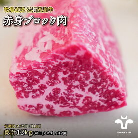 【ふるさと納税】【牧場直送】佐賀産黒毛和牛 赤身ブロック肉 選べる500g・1000g【定期便も選択可能】：B240-004