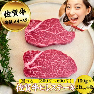 yӂ邳Ɣ[Łzyq꒼zꋍqXe[L300g`600gFB400-017