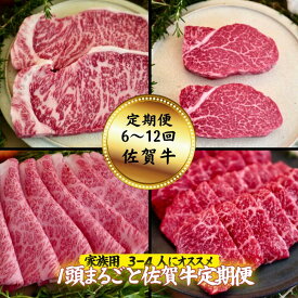 【ふるさと納税】【定期便 全6回～12回】【家族用】1頭まるごと佐賀牛定期便 サーロインステーキ モモ焼肉 すきやき カタ焼肉 ヒレステーキ バラ焼肉用：C153-008