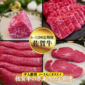 yӂ邳Ɣ[Łzy S6`12zyƑpzꋍ̐Ԑg̒ Ԑgē ԐgXe[L Ԑg₫ ԐgubN qXe[LFC175-002