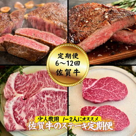 【ふるさと納税】【定期便 全6回～12回】【少人数用】佐賀牛のステーキ定期便 全6回 or 12回 希少部位 赤身 ヒレ サーロイン サイコロステーキ ハンバーグ 佐賀市 佐賀牛 黒毛和牛：B790-010