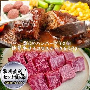 yӂ邳Ɣ[Łz݂Ȃ̃no[O12ƃTCRXe[L900g Y _炩 no[O TCR Xe[L s ꋍyւI\zFB450-001