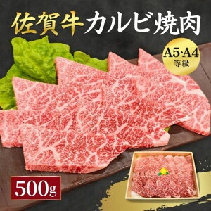 yӂ邳Ɣ[Łzꋍ Jr ēp 500g  јa Jbg o[xL[ ꌧ s ۔ ēFB320-012
