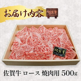 【ふるさと納税】佐賀牛 ロース 焼肉用 500g 牛肉 黒毛和牛 カット済 バーベキュー 九州 佐賀県 佐賀市 佐賀丸美屋 焼肉屋：B335-019