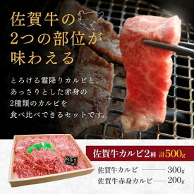 【ふるさと納税】佐賀牛 カルビ 2種 焼肉用 500g 牛肉 黒毛和牛 赤身 カット済 バーベキュー 九州 佐賀県 佐賀市 佐賀丸美屋 焼肉屋：B320-013