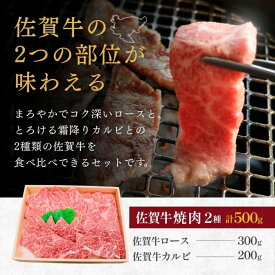 【ふるさと納税】佐賀牛ロース＆佐賀牛カルビ 焼肉用 500g 牛肉 黒毛和牛 赤身 カット済 バーベキュー 九州 佐賀県 佐賀市 佐賀丸美屋 焼肉屋：B325-007