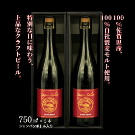 【ふるさと納税】佐賀のクラフトビール〈サガン・サリュート〉ストロングバーレー 2本組：B245-005
