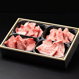【ふるさと納税】食べ比べ 佐賀牛焼肉4種盛り（100g×4）：B255-004
