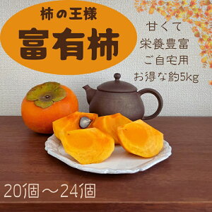 yӂ邳Ɣ[ŁzxL` p 5kgFB140-002