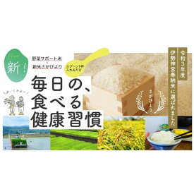 【ふるさと納税】毎日の食べる健康習慣!! 野菜サポート米 300g：B115-001
