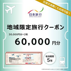 【ふるさと納税】佐賀県佐賀市 地域限定旅行クーポン 60,000円分 日本旅行 トラベルクーポン 納税チケット 旅行 宿泊券 ホテル 観光 旅行 旅行券 交通費 体験 宿泊 夏休み 冬休み 家族旅行 ひとり旅 カップル 夫婦 親子 佐賀市旅行：C200-043