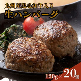 【ふるさと納税】牛100％九州産黒毛和牛入り生ハンバーグ：B165-004