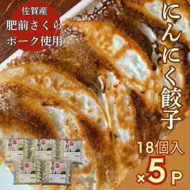 【ふるさと納税】佐賀産「肥前さくらポーク」を100％使用した餃子5Pセット（合計90個）：B220-032
