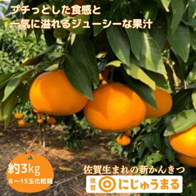 【ふるさと納税】佐賀みかん にじゅうまる：B340-002