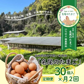 【ふるさと納税】【定期便24回】国産飼料の平飼い有精卵「名尾のたまご」30個入：C291-002