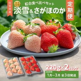 【ふるさと納税】【定期便3回】佐賀県産 紅白いちご 食べ比べ 1~3月発送 淡雪 さがほのか フルーツ 果物 定期便 旬 苺 紅白 白いちご 九州 佐賀県 佐賀市 清瀬農園：B395-010