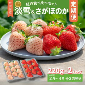 【ふるさと納税】【定期便3回】佐賀県産 紅白いちご 食べ比べ 2~4月発送 淡雪 さがほのか フルーツ 果物 定期便 旬 苺 紅白 白いちご 九州 佐賀県 佐賀市 清瀬農園：B395-011