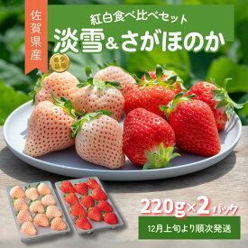 【ふるさと納税】【先行予約】 佐賀県産 いちご さがほのか&淡雪 紅白セット フルーツ 果物 旬 苺 白いちご さがほのか 淡雪 220g×2P 紅白いちご 九州 佐賀県 佐賀市 清瀬農園 ：B140-069