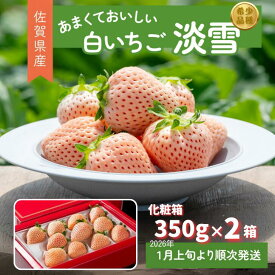 【ふるさと納税】【先行予約】希少価値 佐賀県産 いちご 淡雪 （化粧箱×2箱） フルーツ 果物 旬 苺 白いちご 350g×2P 贈答 化粧箱 ギフト プレゼント 九州 佐賀県 佐賀市 清瀬農園 ：B190-026