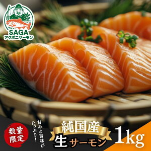 yӂ邳Ɣ[Łzꂩ疢ցISAGAAN|jT[ Iׂ300gE1kg Jbg hg T[ gEgT[ Y H {B ANA|jbNX i sY CN   Ⓚ 