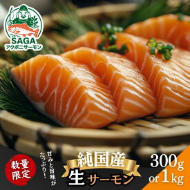 【ふるさと納税】佐賀から未来へ！SAGAアクポニサーモン 選べる300g・1kg カット済 刺身 サーモン トラウトサーモン 国産 生食 陸上養殖 アクアポニックス 高品質 佐賀市産 海鮮 魚介 魚 冷凍 小分け 解凍するだけ 海鮮丼 カルパッチョ 寿司 鮭 佐賀県 佐賀市 ：B150-059