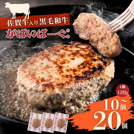 【ふるさと納税】佐賀牛入り　がばいばーぐ®　【選べる容量】10個入り～20個入り：B140-127
