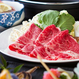 【ふるさと納税】古湯・熊の川温泉　扇屋　宿泊券:C151-010