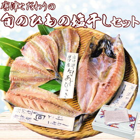 【ふるさと納税】グルメ大賞受賞 唐津 旬の干物 塩干しセット 唐津産旬サバ（トキサバ）干物 旬アジ開き （淡汐造り） 「2025年 令和7年」
