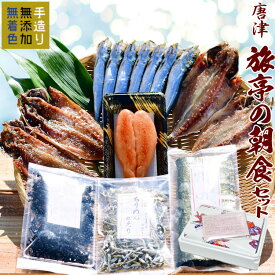 【ふるさと納税】唐津産旬アジ 醤油みりん 淡汐干し 有明産焼き海苔 無添加メンタイコ 真イワシ丸干し 「2025年 令和7年」